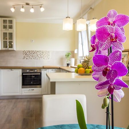 Apartman Maxim Appartement Pula Buitenkant foto