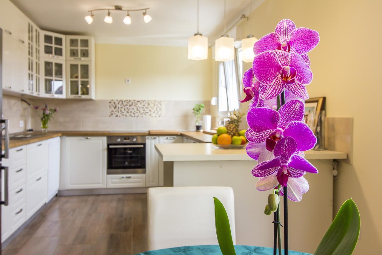 Apartman Maxim Appartement Pula Buitenkant foto